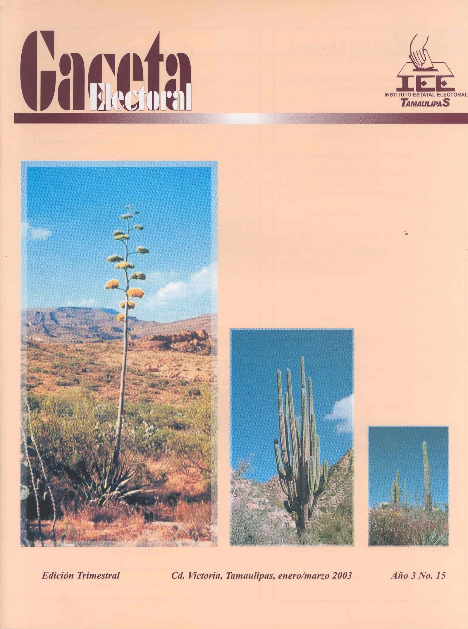 Portada de Gaceta Electoral, año 3, número 15, enero-marzo de 2003