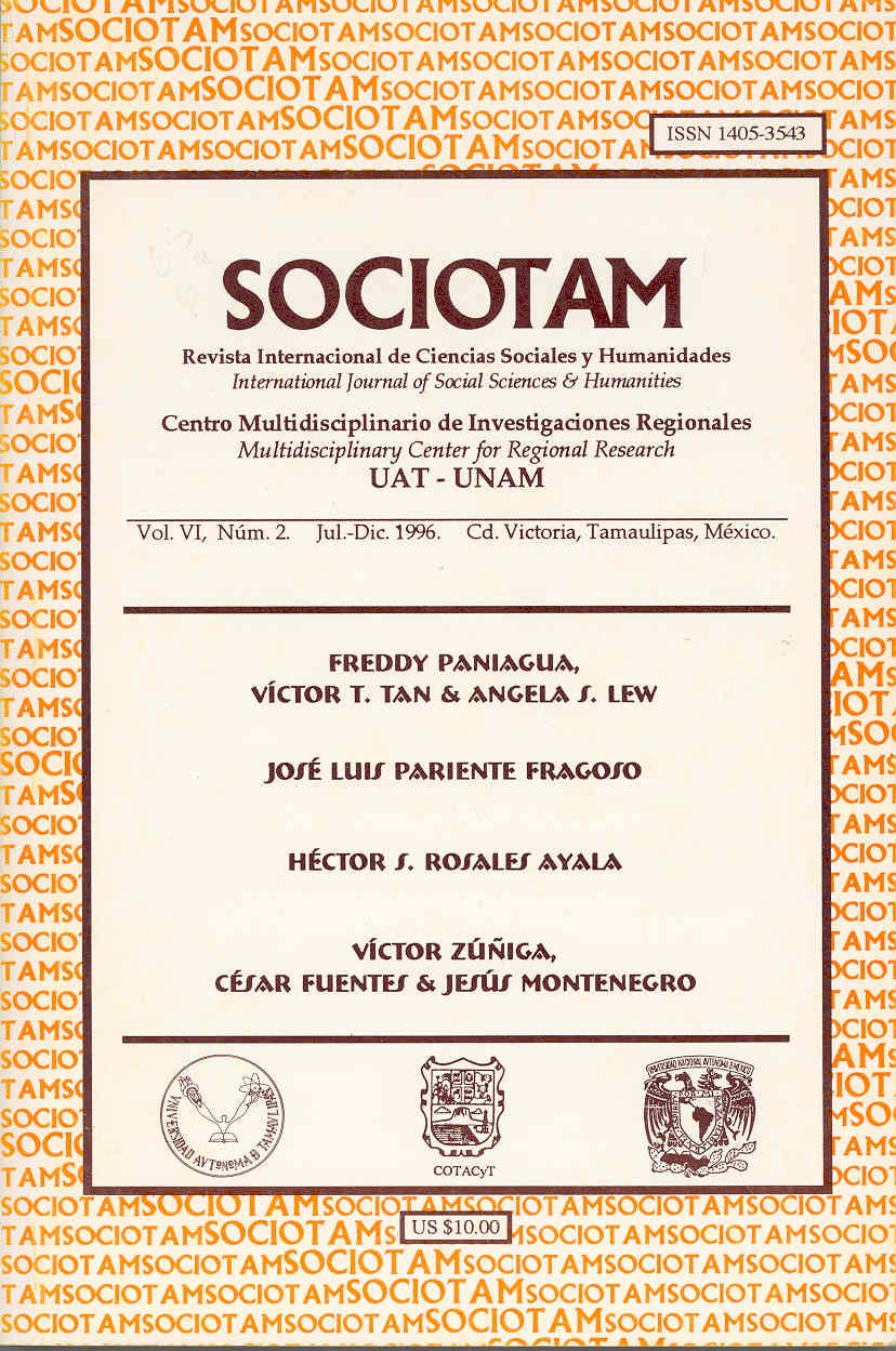 Portada de SOCIOTAM, volumen VI, número 2, 1996