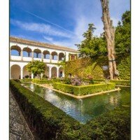 El Ciprés de la Sultana